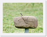 pensastasku Whinchat * 1830 x 1401 * (1.41MB)
